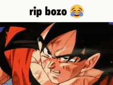 Ripbozo Goku GIF
