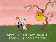 happy easter snoopy easter eggs stay at home eggs will come to you