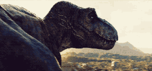 Jurassic World Rexy GIF - Jurassic World Rexy Rexy Jurassic World GIFs