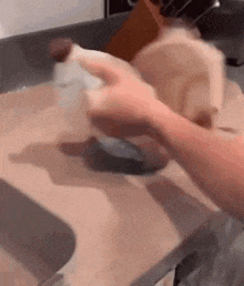a person is washing a chicken on a cutting board .