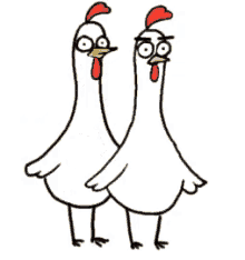 Chicken Chicken Bro GIF - Chicken Chicken Bro Kick GIFs