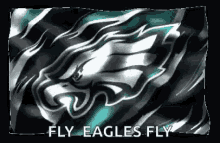 Superbowl Eagles GIF - Superbowl Eagles GIFs