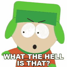 what the hell is that kyle broflovski south park chickenpox s2e10