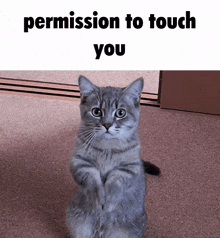 Permission Touch GIF