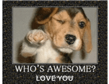 a picture of a puppy with the words who 's awesome love you on it