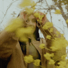 a woman in a brown jacket is standing in a field of yellow flowers