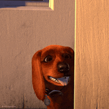 a picture of a dog with a tag that says ' buster ' on it