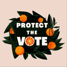 protect the vote florida florida oranges orange orange tree