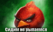 a red angry bird with a yellow beak is sitting on top of a green background .