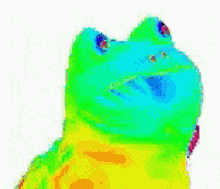 Fuku Frog GIF - Fuku Frog Dancing GIFs