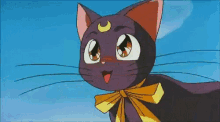 Sailor Moon GIF - Sailor Moon Luna GIFs