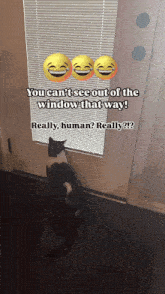 a cat is looking out of a window with a caption that says you can 't see out of the window that way