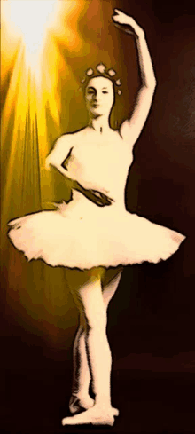 Dancer Ballet GIF - Dancer Ballet GIFs