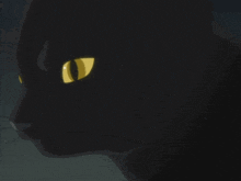 a black cat with yellow eyes is looking at the camera