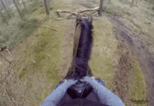 Jump GIF - Horse Horses Equine GIFs