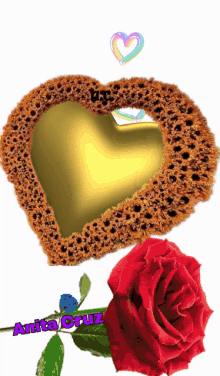 a picture of a red rose and a heart with the name anita cruz