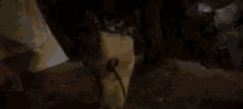 Prophecy Horror GIF - Prophecy Horror Bears GIFs