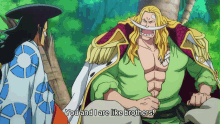 Oden And Whitebeard Brothers GIF - Oden And Whitebeard Brothers One Piece GIFs