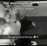 Worms Salt GIF - Worms Salt Sad GIFs