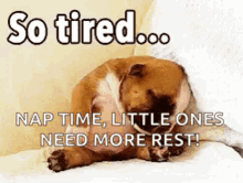 So Tired Sleepy GIF - So Tired Sleepy Bed GIFs