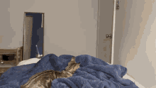 Cat Attack GIF - Cat Attack Toes GIFs