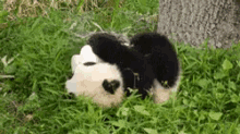 Haciendo La Croqueta GIF - Panda Hug Roll GIFs