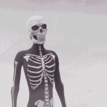 calavera death skull disguised halloween