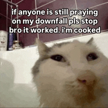 a cat in a bathtub with a caption that says if anyone is still praying