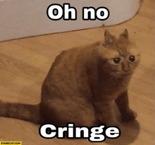 Oh No Cringe Meme GIF - Oh No Cringe Meme Cat GIFs