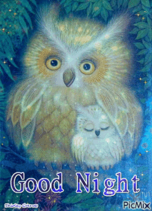 Good Night Owls GIF - Good Night Owls Owlet GIFs