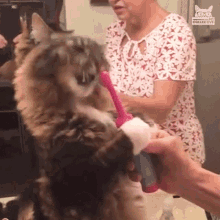 Toothbrush Brush Teeth GIF - Toothbrush Brush Teeth Getting Ready For Bed GIFs