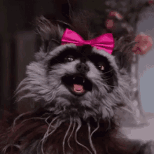 Rose Thecuriouscreationofchristinemcconnell GIF - Rose Thecuriouscreationofchristinemcconnell Racoon GIFs