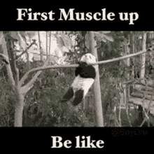 Muscle Muscleup GIF