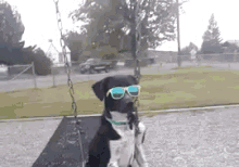 Sunglasses GIF - Swinging GIFs