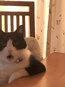 a black and white cat is laying on a table