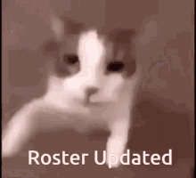 Cat Kiss Roster GIF - Cat Kiss Roster GIFs