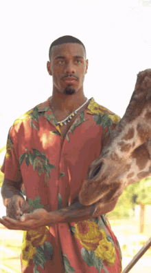 Kumala Kumala Giraffe GIF - Kumala Kumala Giraffe Kumalala GIFs