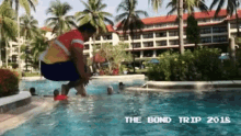 Dive Pool GIF - Dive Pool Funny GIFs