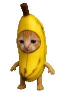 a kitten is dressed as a banana with arms and legs