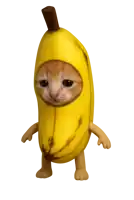 a kitten is dressed as a banana with arms and legs