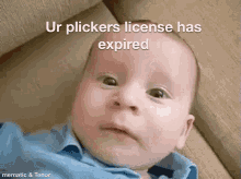 Plickers GIF - Plickers GIFs