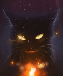 Fire Cat GIF - Fire Cat GIFs