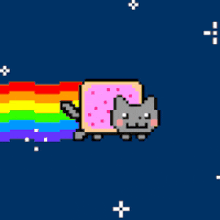 Cat Rainbowcat GIF - Cat Rainbowcat Fly GIFs