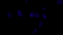 a colorful cartoon character is standing on a black background with a giant foot .
