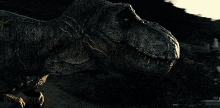 Dinosaur T Rex GIF - Dinosaur T Rex Roar GIFs
