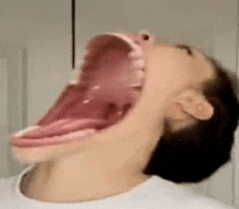 Funny Laughing GIF - Funny Laughing Thatoneguy GIFs