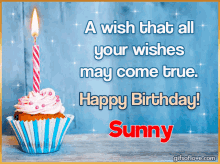Happy Birthday Sunny GIF - Happy Birthday Sunny Sunny Name GIFs