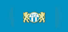 Fcztor Stadtclub Goal GIF - Fcztor Stadtclub Goal GIFs