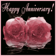 Anniversary Happy Anniversary GIF - Anniversary Happy Anniversary Pink GIFs