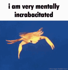 I Am Very Mentally Incrabacitated Shrimple GIF - I Am Very Mentally Incrabacitated Shrimple Crab GIFs